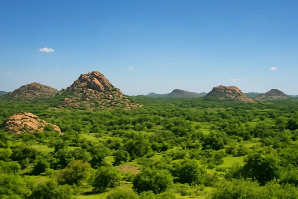 ಧಖನ್ ಪ್ರಸ್ಥಭೂಮಿ