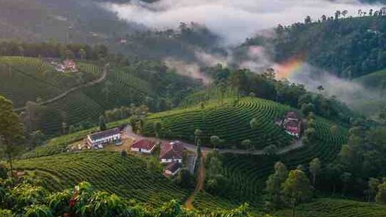 ಕೊಡಗು ಪ್ರವಾಸ ಮಾಡಬೇಕಾದ 4 ಅದ್ಭುತ ಕಾರಣಗಳು